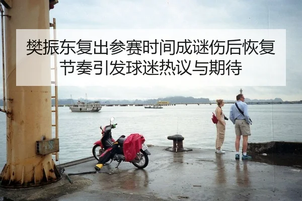 樊振东复出参赛时间成谜伤后恢复节奏引发球迷热议与期待