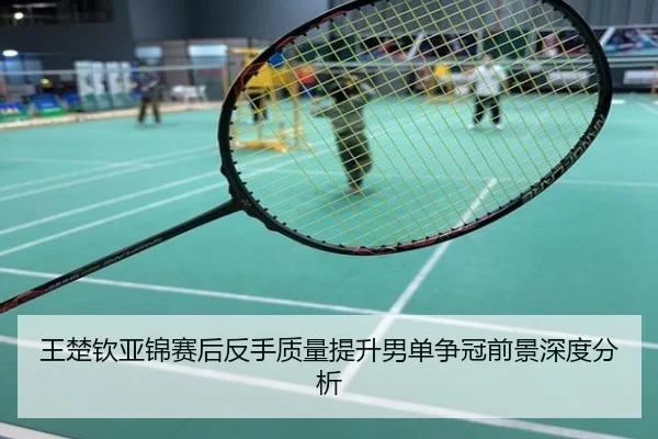 王楚钦亚锦赛后反手质量提升男单争冠前景深度分析
